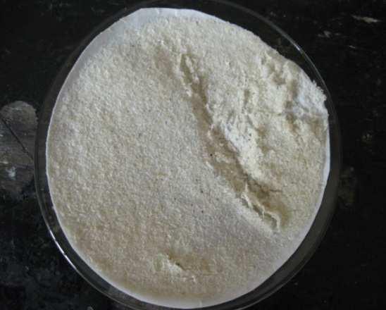2 (c)) es el residuo del tratamiento de una muestra de holocelulosa obtenida de la cascarilla de arroz con disoluciones de hidróxido de sodio de 17.5% y 8.