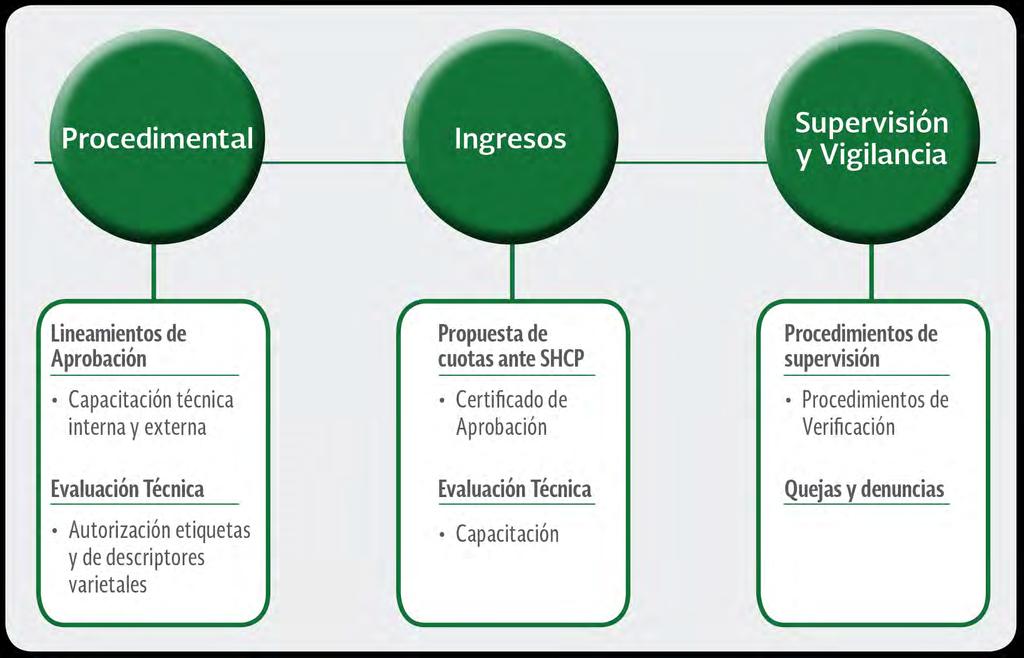 III. Certificación de Semillas Proyectos Estratégicos Implementación de los Organismos de Certificación (OC) Objetivo: Fortalecer las actividades de calificación de semillas a través de personas