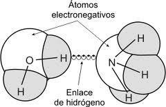 anterior en el que participa un átomo