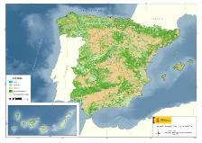MAPA FORESTAL NACIONAL (1:25000) FUENTES DE DATOS Altura de matorral Cobertura de matorral Capas de Espacios naturales