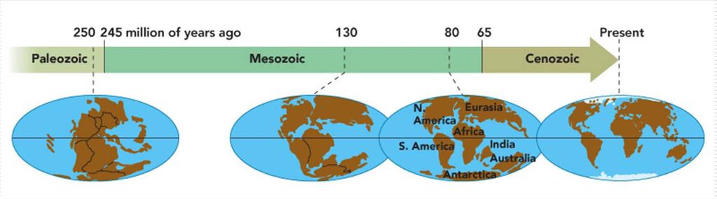 Evidencia geológica Tectónica de placas, deriva