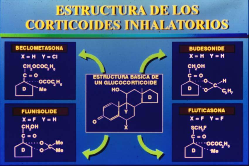 CORTICOIDES INHALADOS Estructura Química Beclometasona