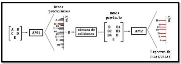 Figura 11. Descripción del funcionamiento de un sistema MS/MS (Ramirez, L.