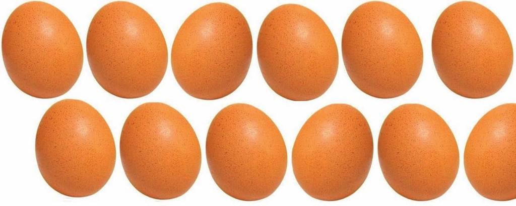 Producción de Huevos HUEVOS ESPAÑOLES EN EL CONGO Los productores avícolas nacionales apostaron por la internacionalización en 2014.