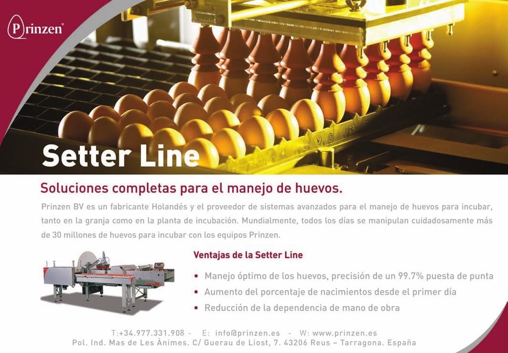 En los contactos mantenidos se ha buscado ampliar los mercados para el huevo y los ovoproductos españoles en países terceros, de la mano del ICEX.