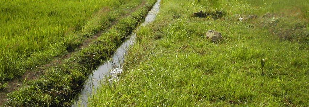 Sector agricultura, silvicultura y otros usos de la tierra Cultivo de arroz Régimen de cultivo kg CH 4 / ha / día* Inundado