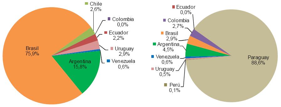 PROYECTO CIER 15 FASE II Resumen de la situación energética en la Región Participación por país en la importación de energía eléctrica en América del Sur - 2009 Participación por país