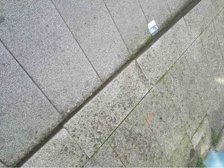 accesos Enlosado de granito Pavimento de piedra preexistente Luminarias en