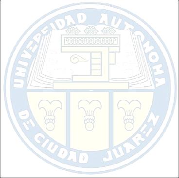 2011 UNIVERSIDAD AUTÓNOMA DE CIUDAD JUÁREZ DIRECCIÓN GENERAL DE PLANEACIÓN Y DESARROLLO INSTITUCIONAL SUBDIRECCIÓN DE ESTUDIOS PARA EL DESARROLLO INSTITUCIONAL LIC.