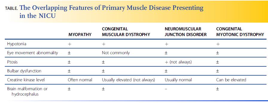 EVALUACIÓN BASADA EN LA LOCALIZACIÓN DE HIPOTONIA Trastornos primarios del músculo El diagnóstico diferencial incluye miopatías congénitas, distrofias musculares congénitas, distrofia miotónica