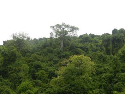 14 % de la superficie forma parte de alguna Unidad de Conservación 14% Superficie de Guayaquil 86% Unidades de