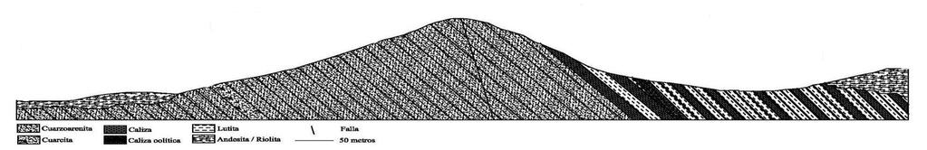 En la figura 9 se puede observar un perfil esquemático del Cerro Chihuarruita en donde se aprecian los tipos de litología así como los miembros estudiados para la realización de este trabajo.