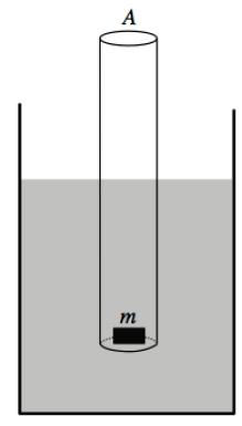 PTV-2.17 PTV-2.17. Considerar el "flotador" cilíndrico de sección transversal circular y masa m, mostrado en la figura.