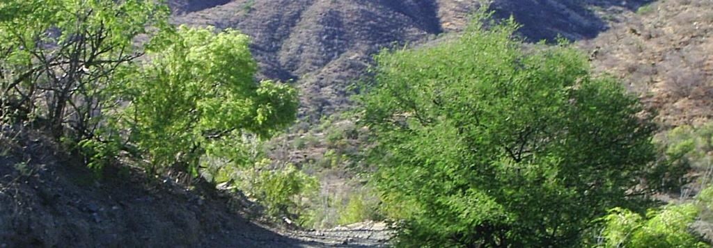La ignimbrita en la cima del Cerro Montecristo presenta un espesor de siete a ocho metros, y se distinguen dos facies: a) la primera es de color gris oscuro y contiene fragmentos líticos, con