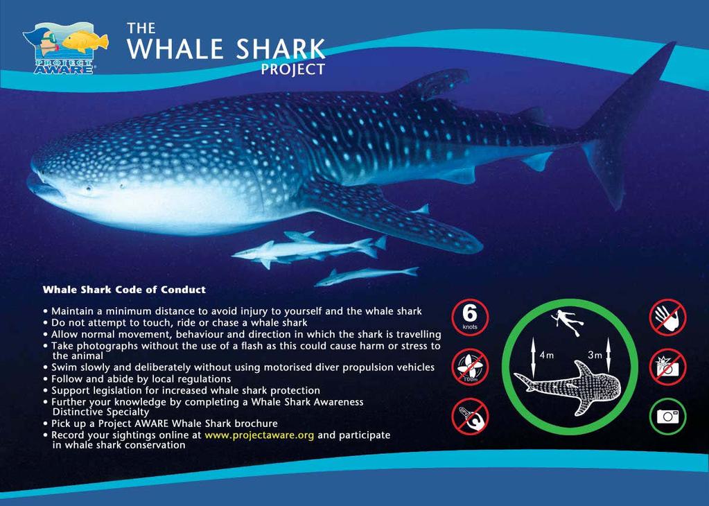 .. Podrás asistir de forma gratuita a los Seminarios de conservación impartidos por Balky; Whale Shark Awareness, Manta Specialist, Shark