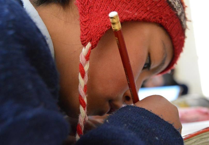 Contexto educativo de Bolivia El Estado Plurinacional de Bolivia es el país que más redujo la pobreza en la región.