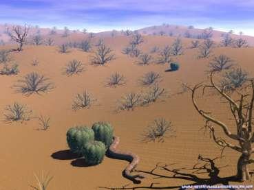 CLASIFICACION DE LOS HABITAT Terrestre / El Desierto Se encuentra a nivel del mar,