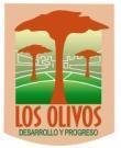 MUNICIPALIDAD DE LOS OLIVOS PROCESO CAS 001-2014/MDLO PROCESO PARA LA CONTRATACIÓN ADMINISTRATIVA DE SERVICIOS CAJERAS I. GENERALIDADES 1.