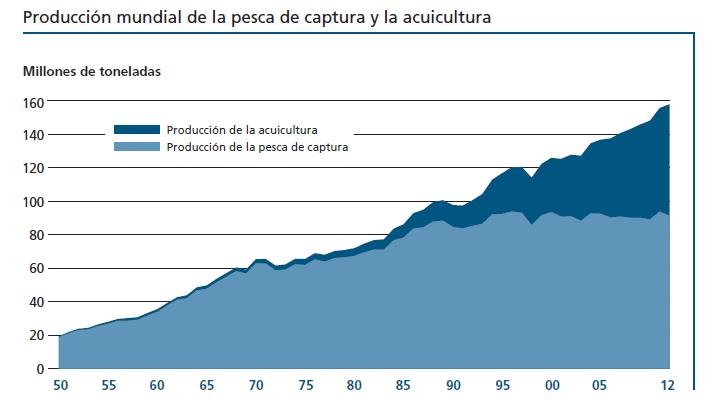 La producción pesquera mundial ha aumentado de forma constante en las ultimas cinco décadas y el suministro de peces comestibles se ha incrementado a una