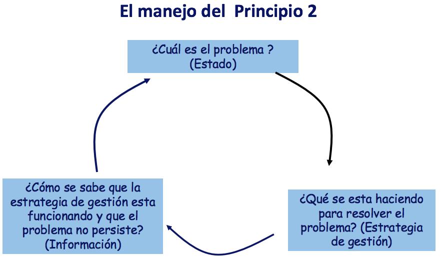 PRINCIPIO 2 DEL ESTANDAR MSC: IMPACTOS ECOLOGICOS Y MEDIO AMBIENTALES El árbol de evaluación para el Principio 2 (Figura 1) está compuesto de cinco componentes y de tres indicadores de comportamiento