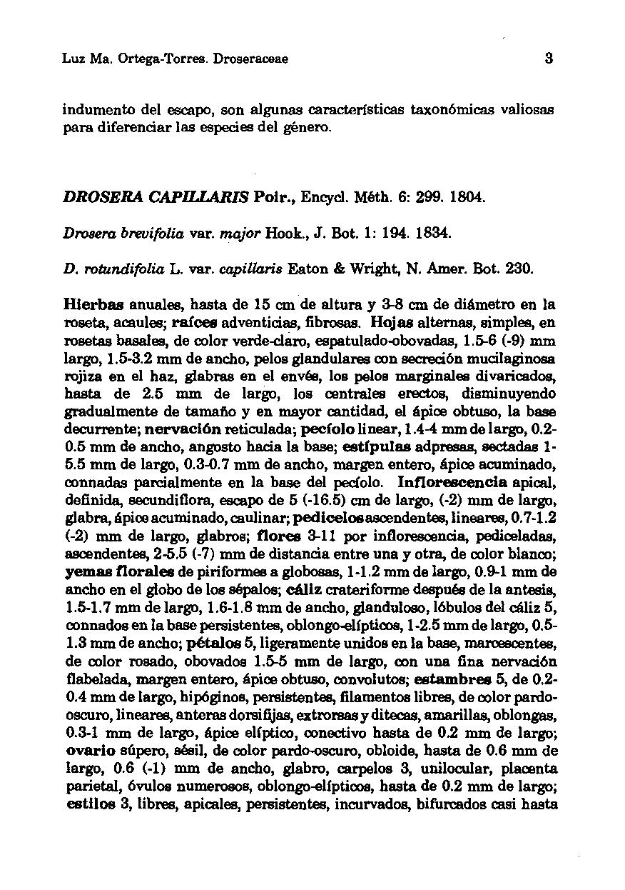 Luz Ma. Ortega-Torres. Droseraceae 3 indumento del escapo, son algunas características taxonómicas valiosas para diferenciar las especies del género. DROSERA CAPILLARIS Polr., Encycl. Méth. 6, 299.