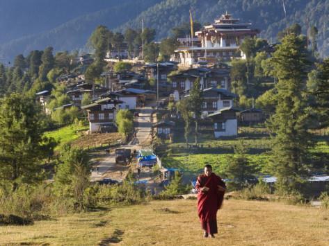 Día 5º: GANGTEY THIMPHU Desayuno en el hotel y salida hacia Thimphu. Almuerzo en ruta. Por la tarde, visitaremos el Mirador de Sangay Gang y el Centro para la Conservación de Takin.