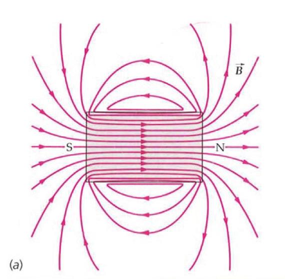 Las líneas de inducción magnética son líneas imaginarias que nos permiten representar la forma del B.