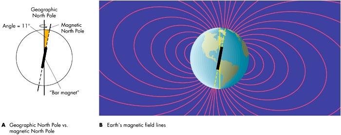 Campo magnético terrestre ~imán lineal, inclinado ~11º Originado por efecto dinamo: líquido