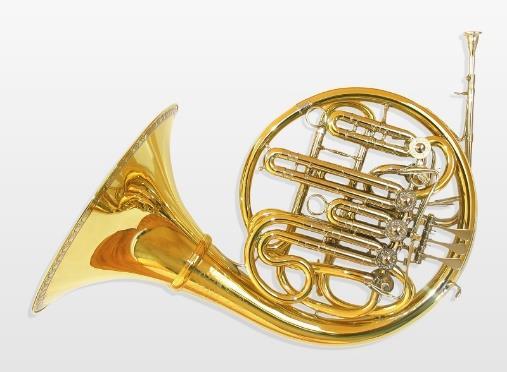 La trompa es un instrumento de viento metal. Está formada por un tubo enrollado, por el que pasa el aire que lo hace vibrar, produciendo el sonido.