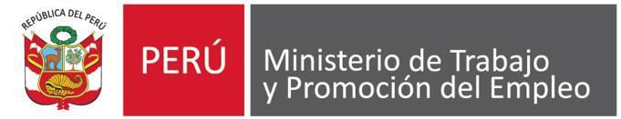 2018 MINISTERIO DE TRABAJO Y PROMOCIÓN DEL EMPLEO Dirección General de Promoción del Empleo Av.