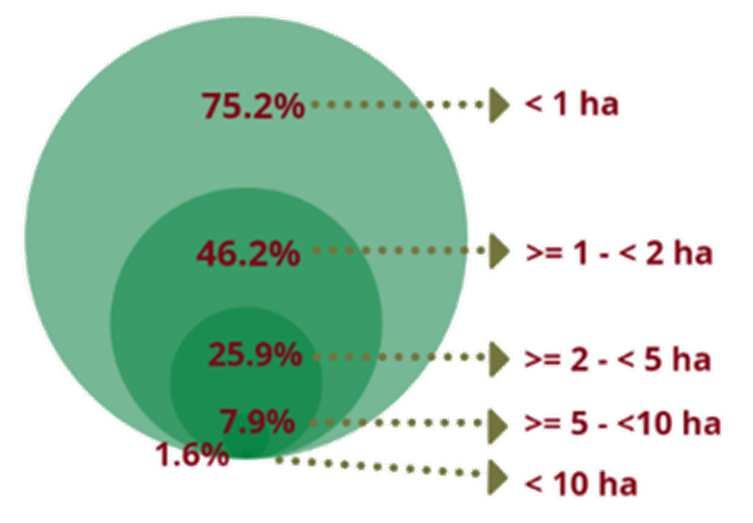 Composición del empleo en las fincas cafeteras Porcentaje de jornales que se cubre con MOF Composición de la oferta (%)