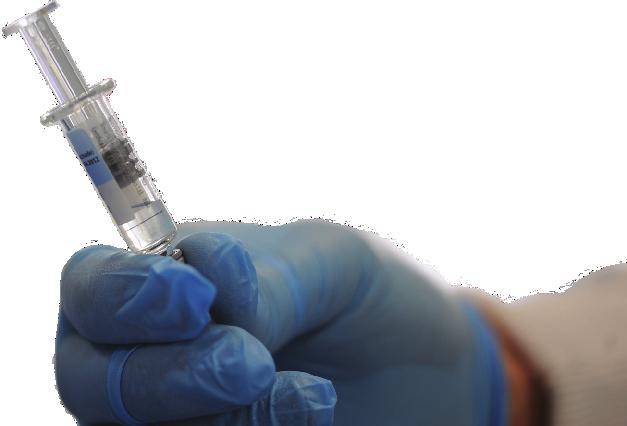 Cuál es la composición de la vacuna de 2019 en hemisferio sur?