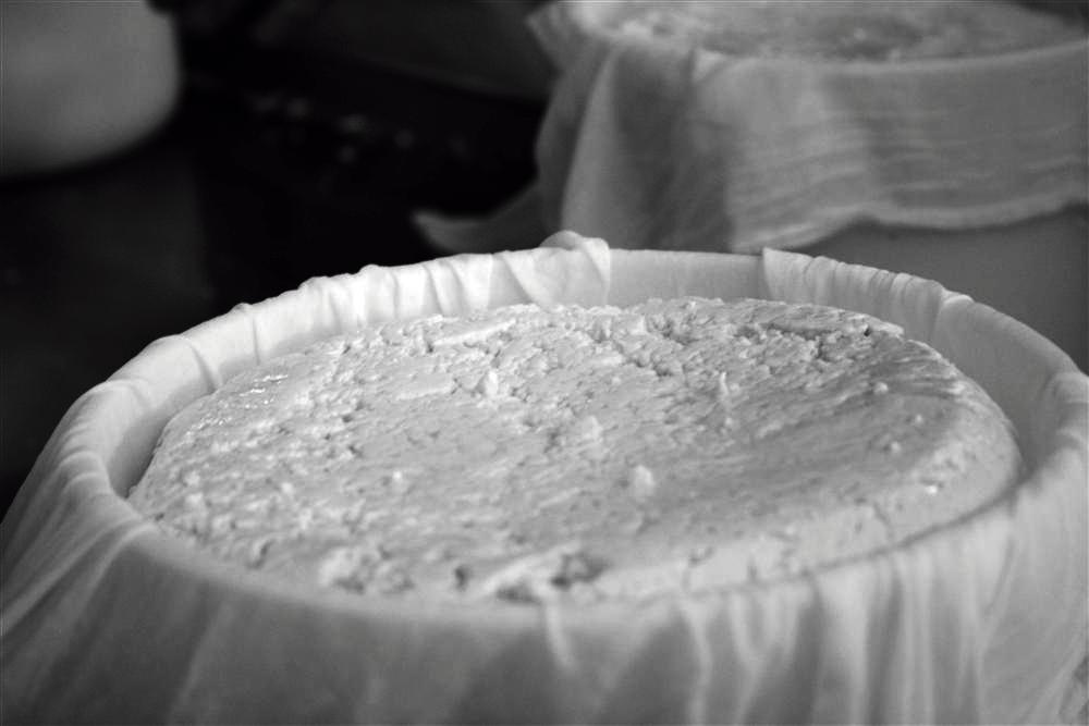 DÍA 1 a ALIMENTOS RUTA XACOBEA Alimentos Ruta Xacobea é unha empresa dedicada á elaboración do queixo Denominación de Orixe Arzúa-Ulloa e Tetilla.