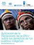 Aplicación de la Declaración de la ONU sobre los derechos de los pueblos indígenas