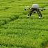 El dron para la agricultura de precisión