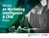 Máster. en Marketing Intelligence & CRM