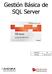Gestión Básica de SQL Server. Versión V1 Fecha 24-11-09