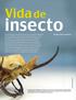 insecto Vida de Renato Gómez Herrera