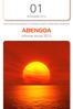 Actividades 2012. Soluciones tecnológicas innovadoras para el desarrollo sostenible ABENGOA. Informe Anual 2012