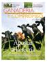 Apostar a la recría GANADERIA Y COMPROMISO. Más productivas La calidad de la semilla de alfalfa define el éxito de la implantación.