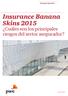 Insurance Banana Skins 2015