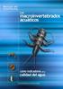 Manual de monitoreo. Los. macroinvertebrados acuáticos como indicadores de la. calidad del agua