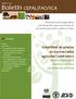 Boletín CEPAL/FAO/IICA