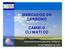 MERCADOS DE CARBONO CAMBIO CLIMATICO FORTALECIMIENTO DEL MDL FORESTAL