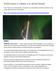 NASA lanza 4 cohetes a la aurora boreal