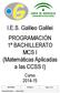 I.E.S. Galileo Galilei PROGRAMACIÓN 1º BACHILLERATO MCS I (Matemáticas Aplicadas a las CCSS I)