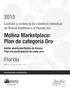 Molina Marketplace: Plan de categoría Oro