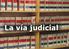 El procedimiento judicial