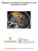 Diagnóstico y tratamiento de los gliomas en áreas funcionales del cerebro
