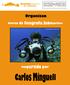 Curso de fotografía submarina impartido por Carlos Minguell Benthos buceo EL HIERRO